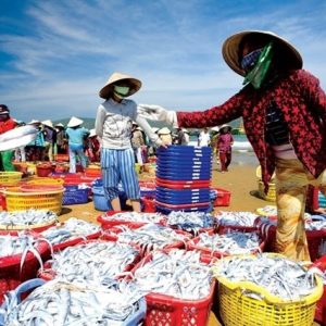 Hải sản tươi sống