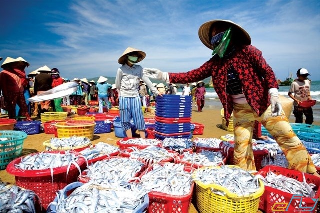 Hải sản tươi sống