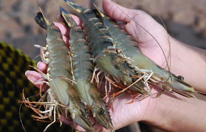 Hải sản Long Hiền